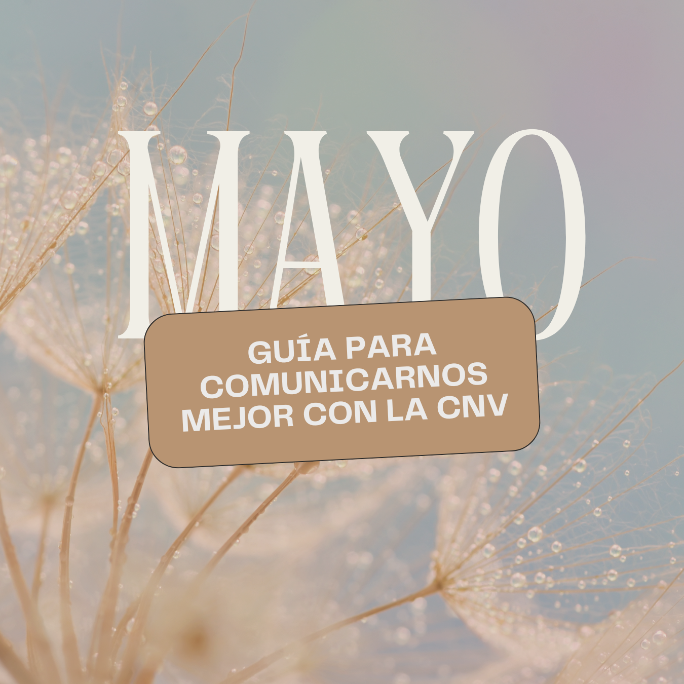 Guía de Mayo: Comunicarnos mejor con la Comunicación No Violenta