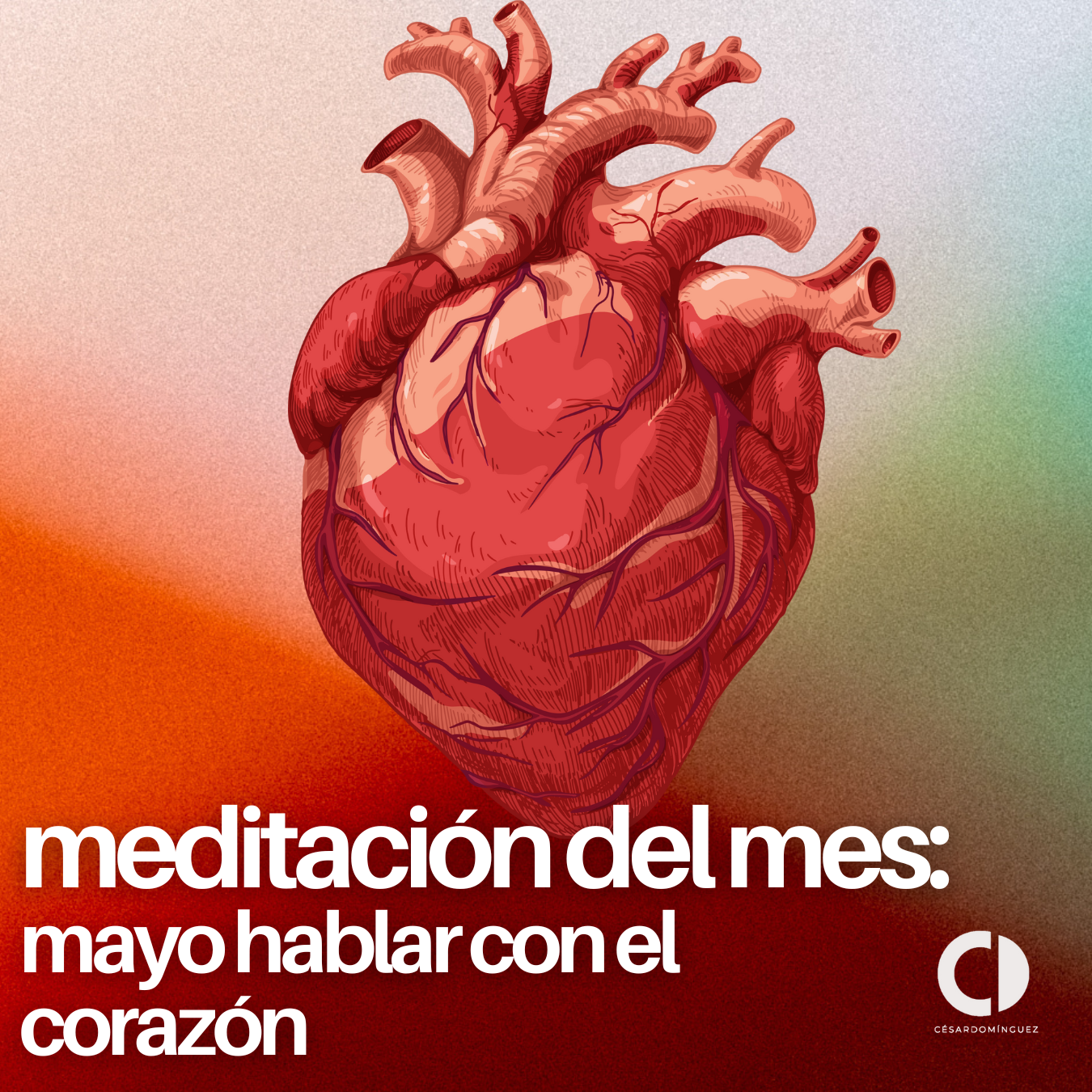 Meditación del mes de mayo: Hablando desde el corazón