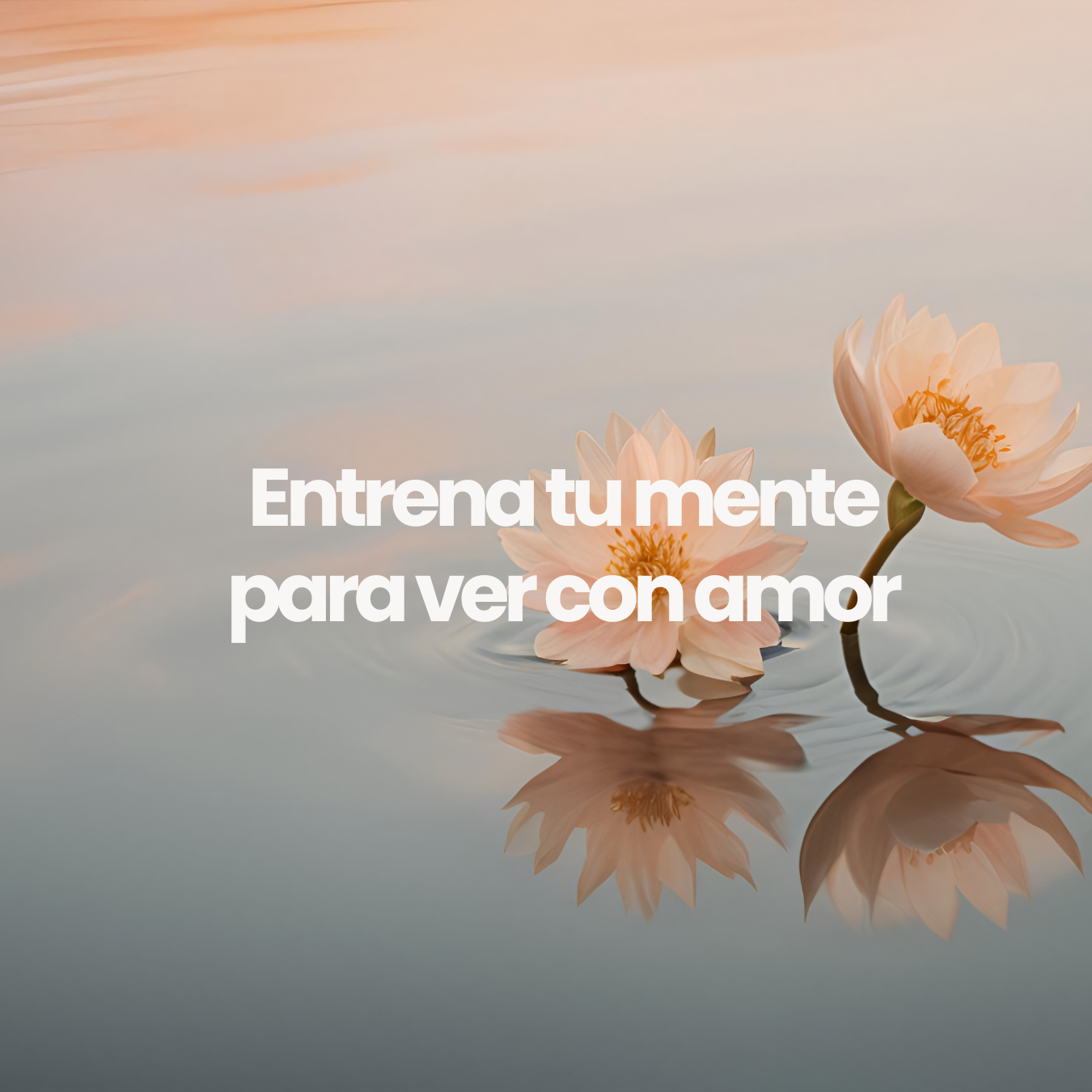 Entrena tu mente para ver con amor