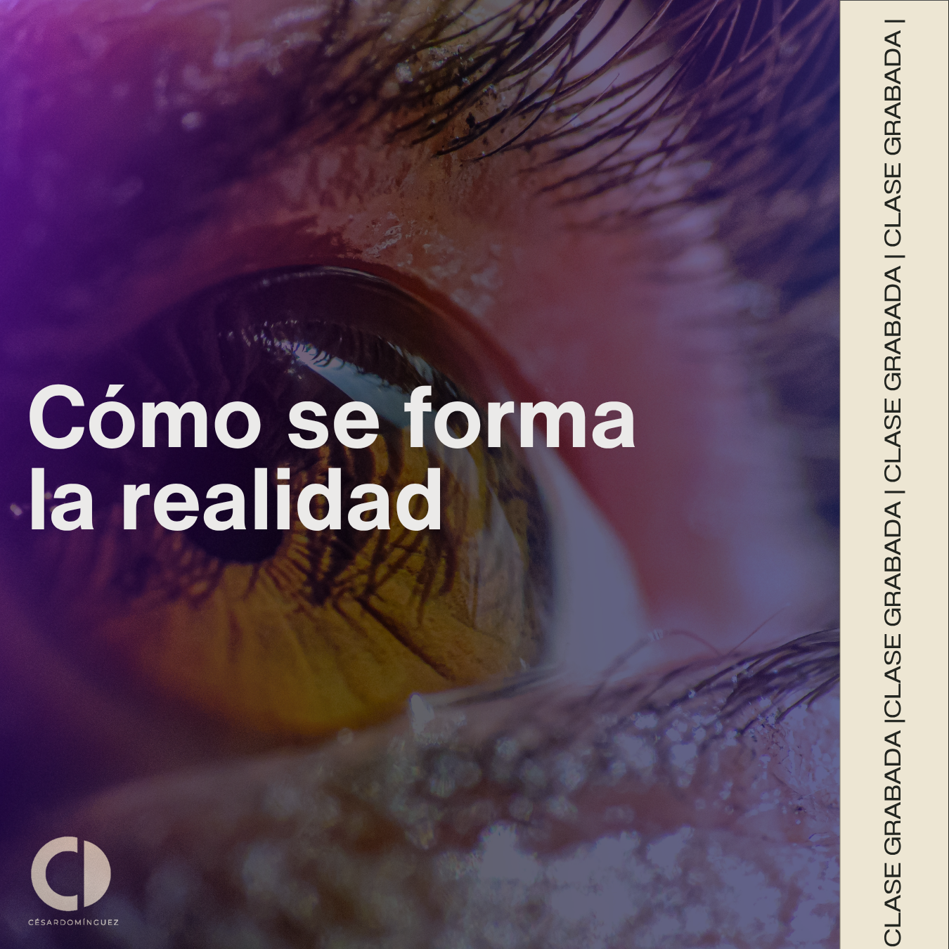 Clase grabada: Cómo se forma la realidad