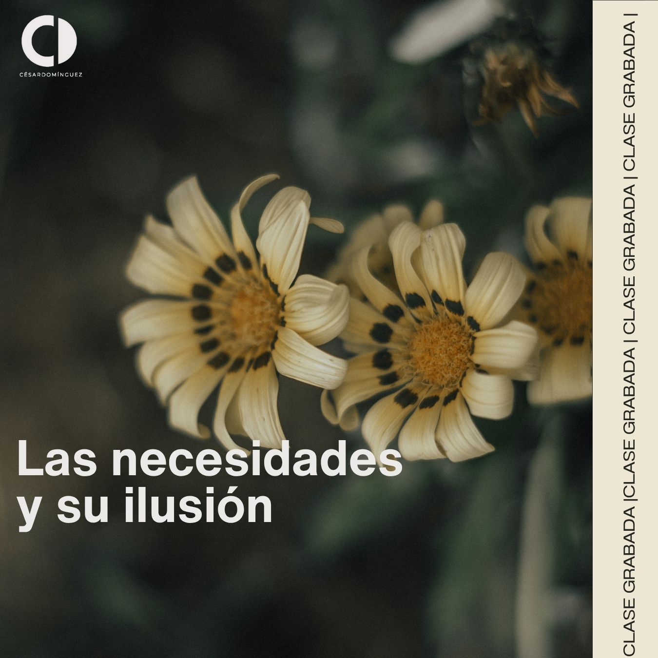 La ilusión de las necesidades