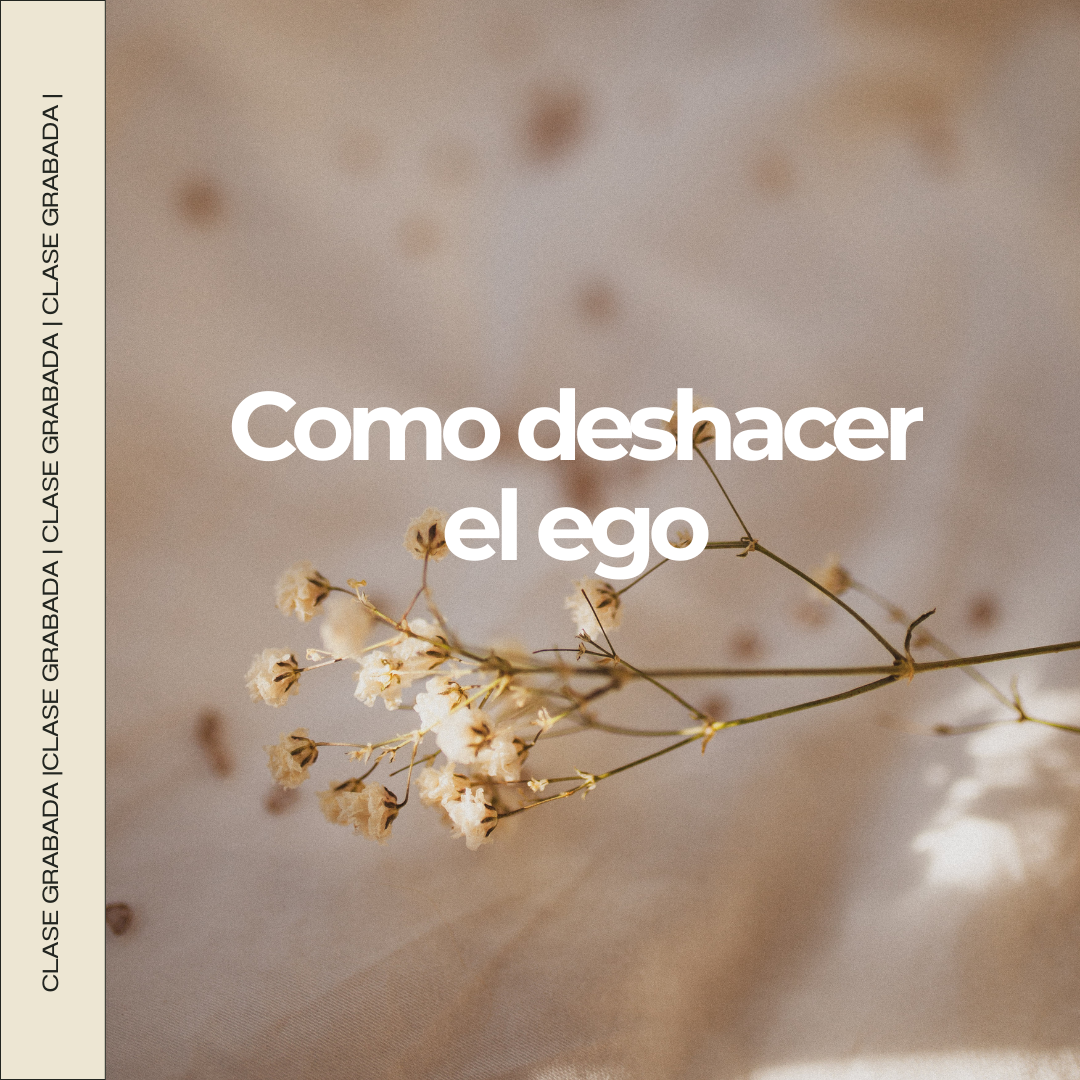 Como deshacer el ego