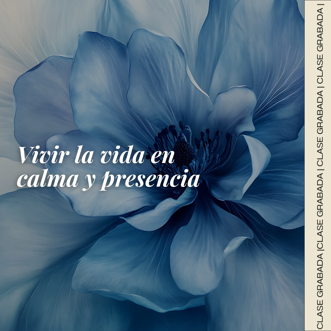 Clase: Vivir la vida en calma y presencia