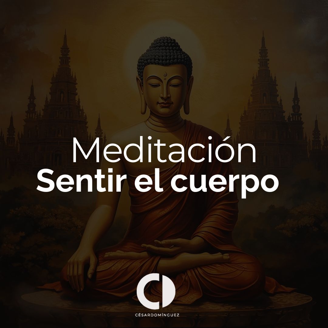 Meditación: Sentir el cuerpo