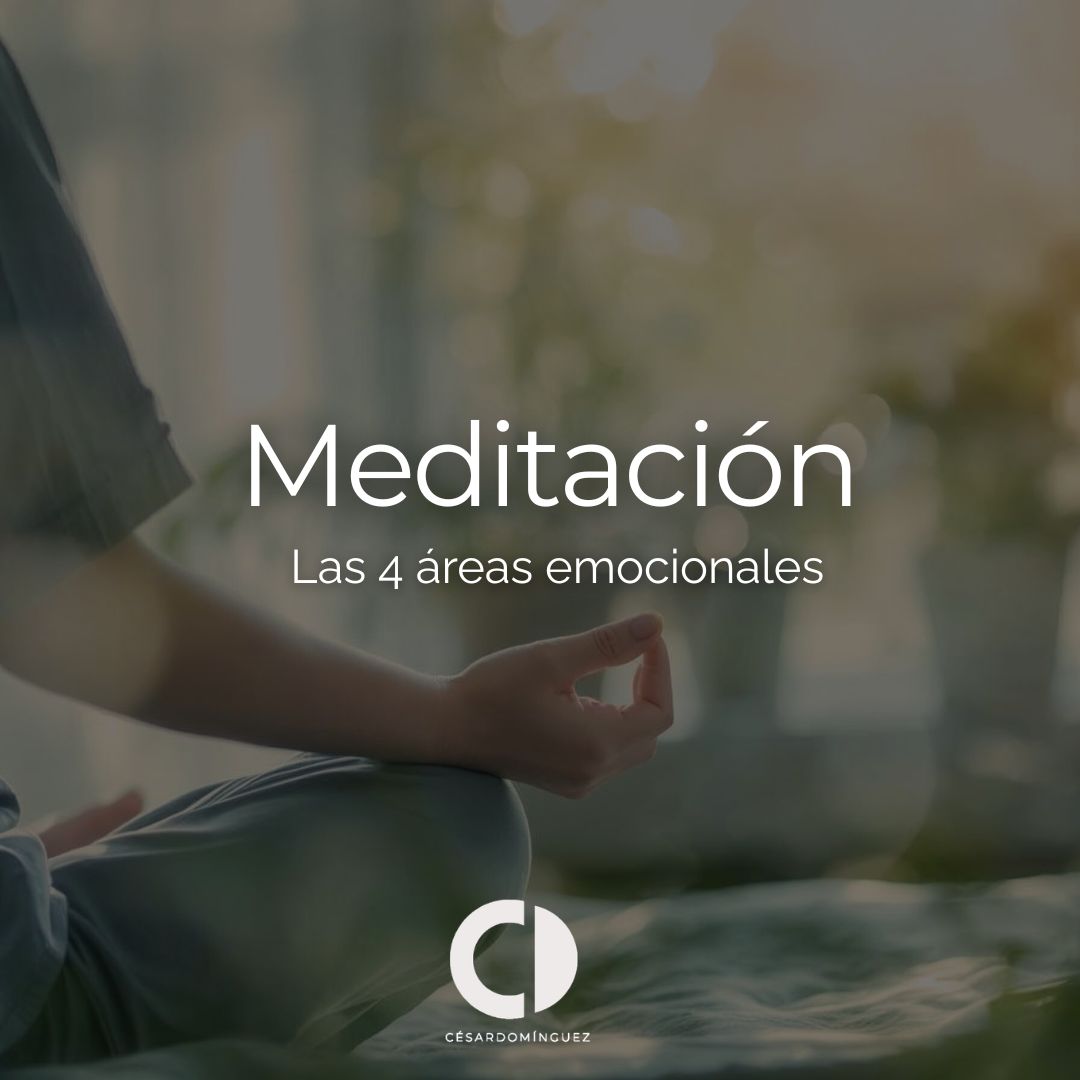 Meditación: Las 4 áreas emocionales.